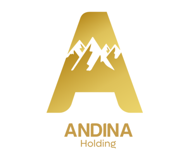 Andina Holding logo